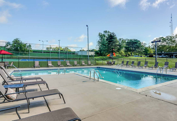 Sparkling swimming pool